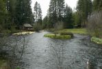 PICTURES/Walk Along The Metolius River/t_Metolius River4.JPG